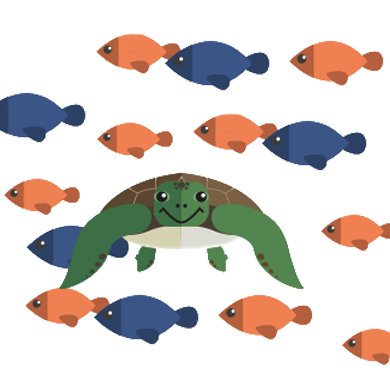 Sea turtle illustration for school and sports physicals